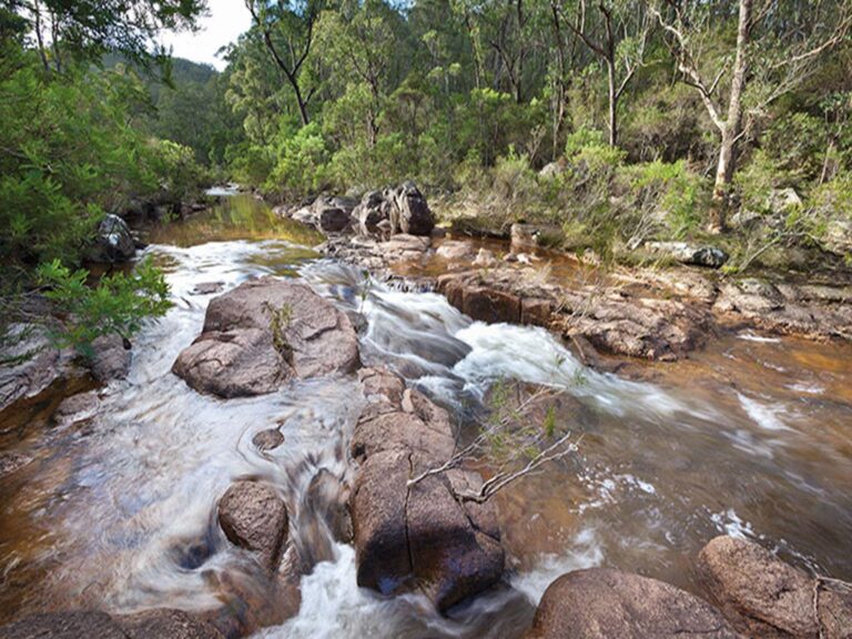 Gibraltar Range National Park Clarence Valley