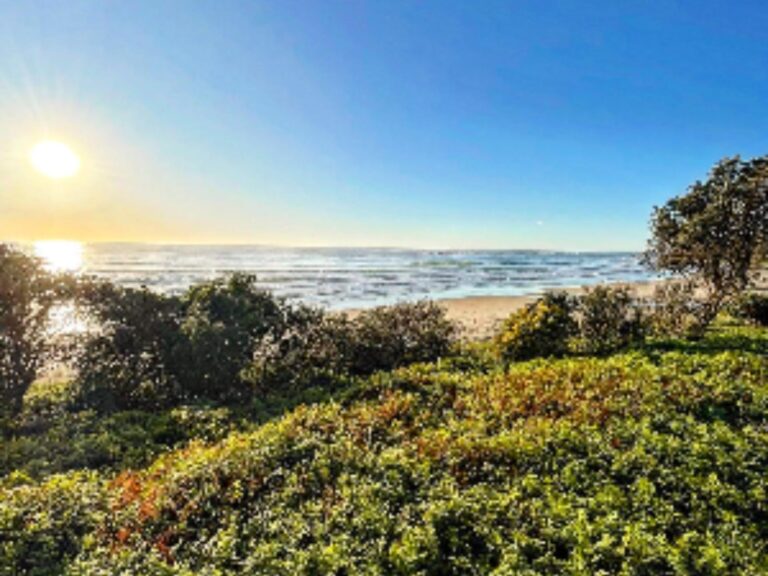 Minnie Water General Store Clarence Valley